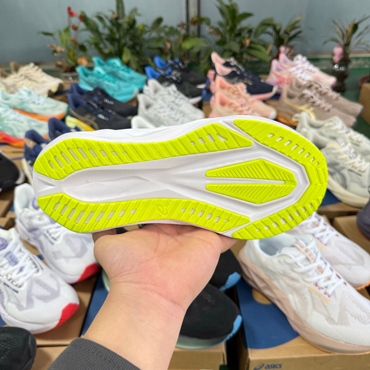 ASICS Novablast 5 LE White Blue Running Shoes