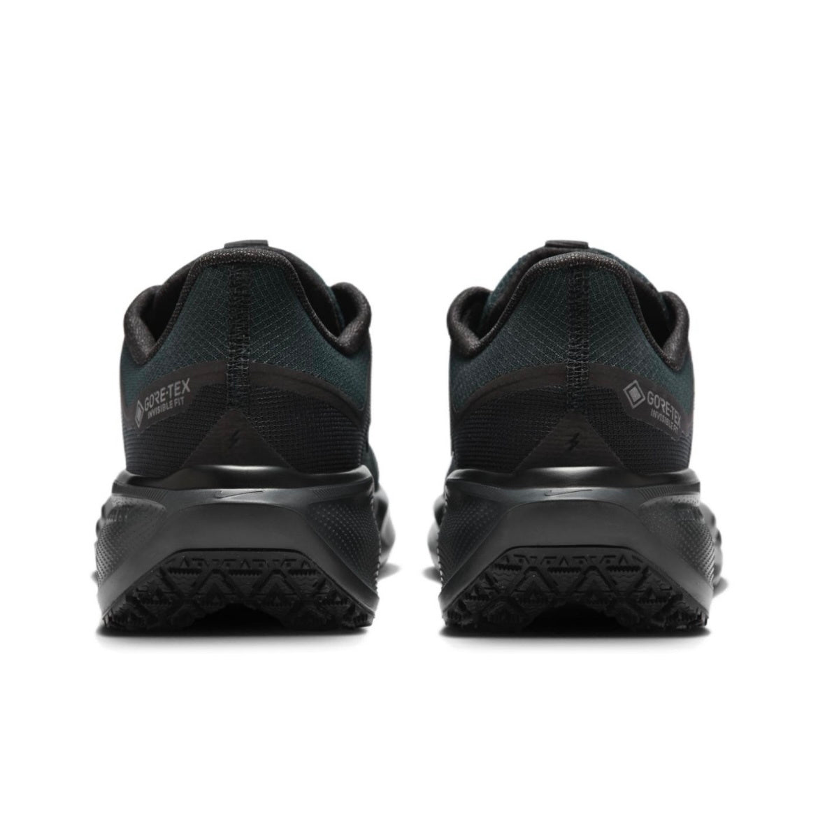 Nike Pegasus 41 GORE-TEX Black Running Shoes FQ1356-001