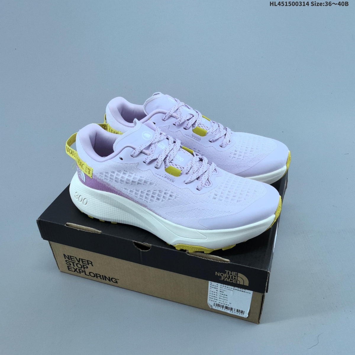The North Face Altamesa 300 Low-Top Hiking Shoes
