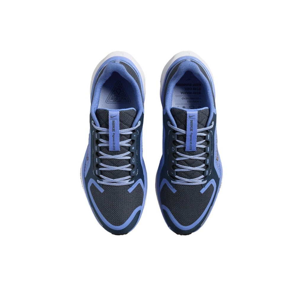 Nike Pegasus 41 GORE-TEX Running Shoes FQ1357-400 Blue