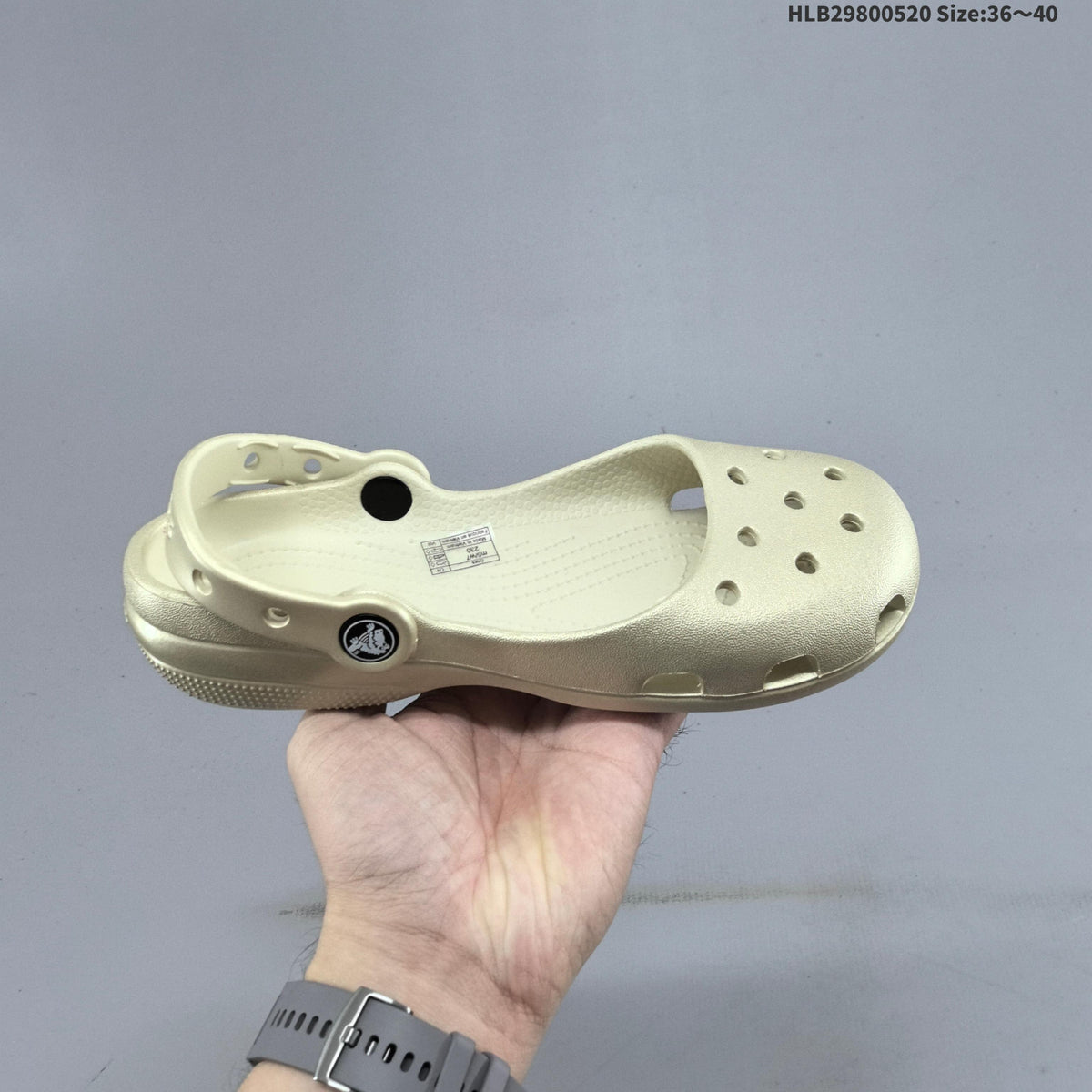 Crocs Classic Ballet Clog in Metallic Colors