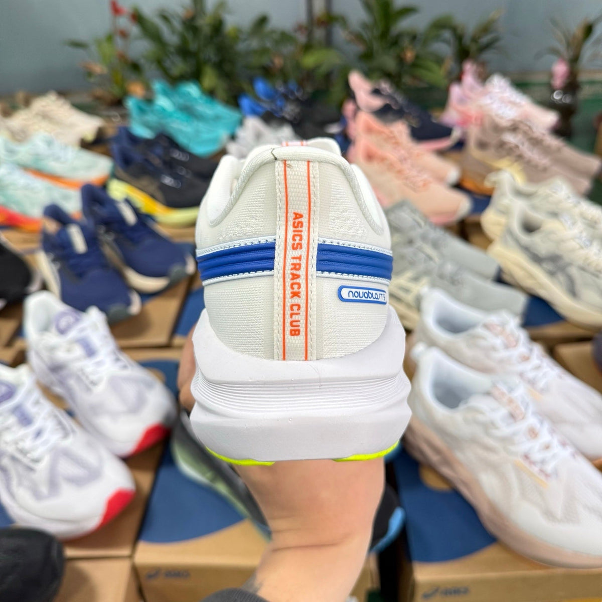 ASICS Novablast 5 LE White Blue Running Shoes