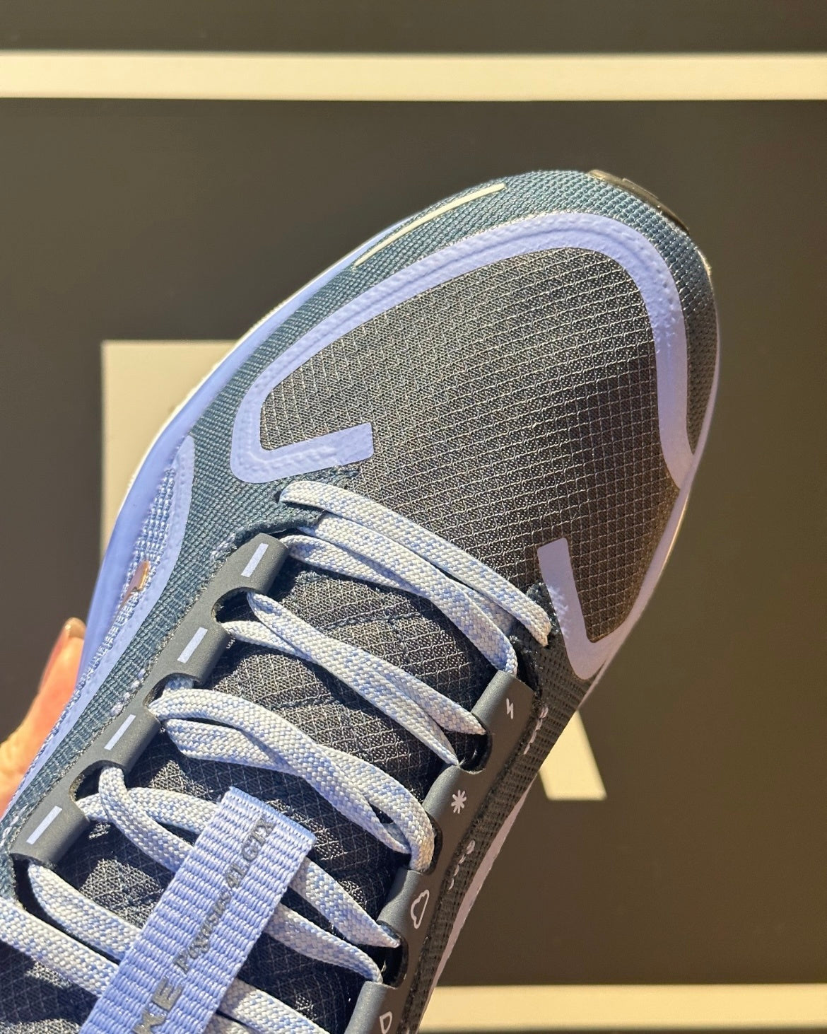 Nike Pegasus 41 GORE-TEX Running Shoes FQ1357-400 Blue