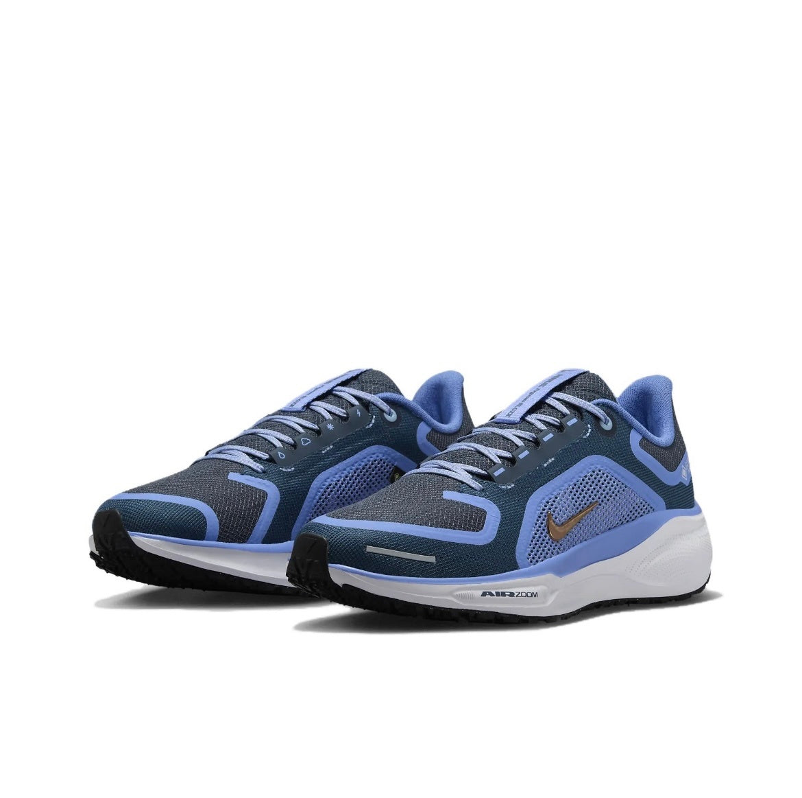 Nike Pegasus 41 GORE-TEX Running Shoes FQ1357-400 Blue