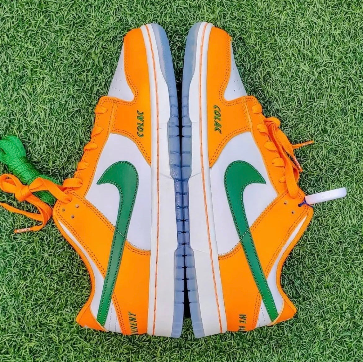 Nike Dunk Low Florida A&M White Orange DR6188-800