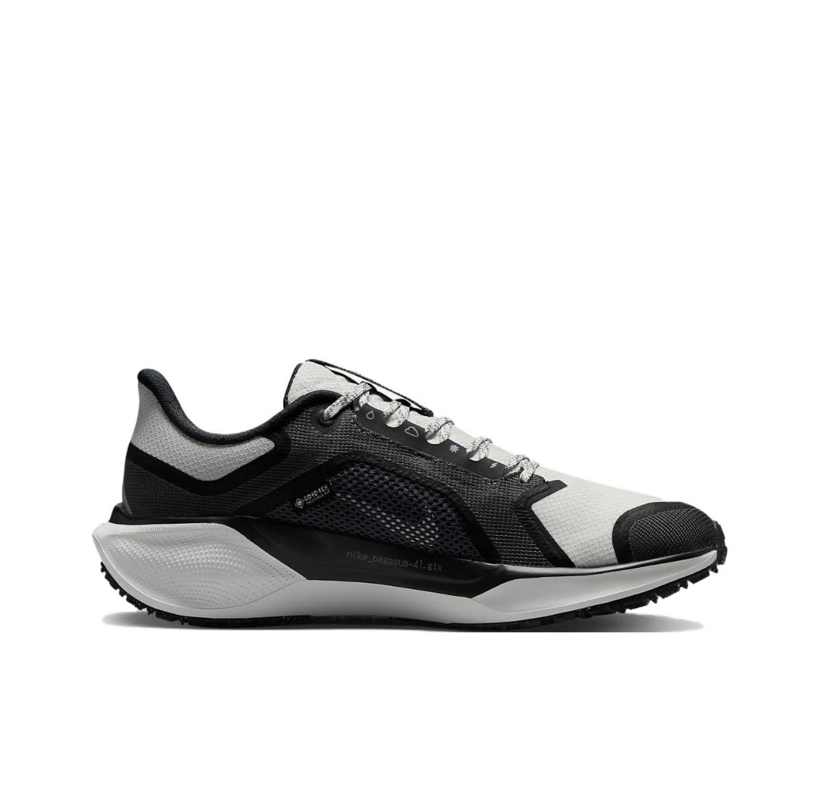 Nike Pegasus 41 GORE-TEX Running Shoes Black White FQ1356-002
