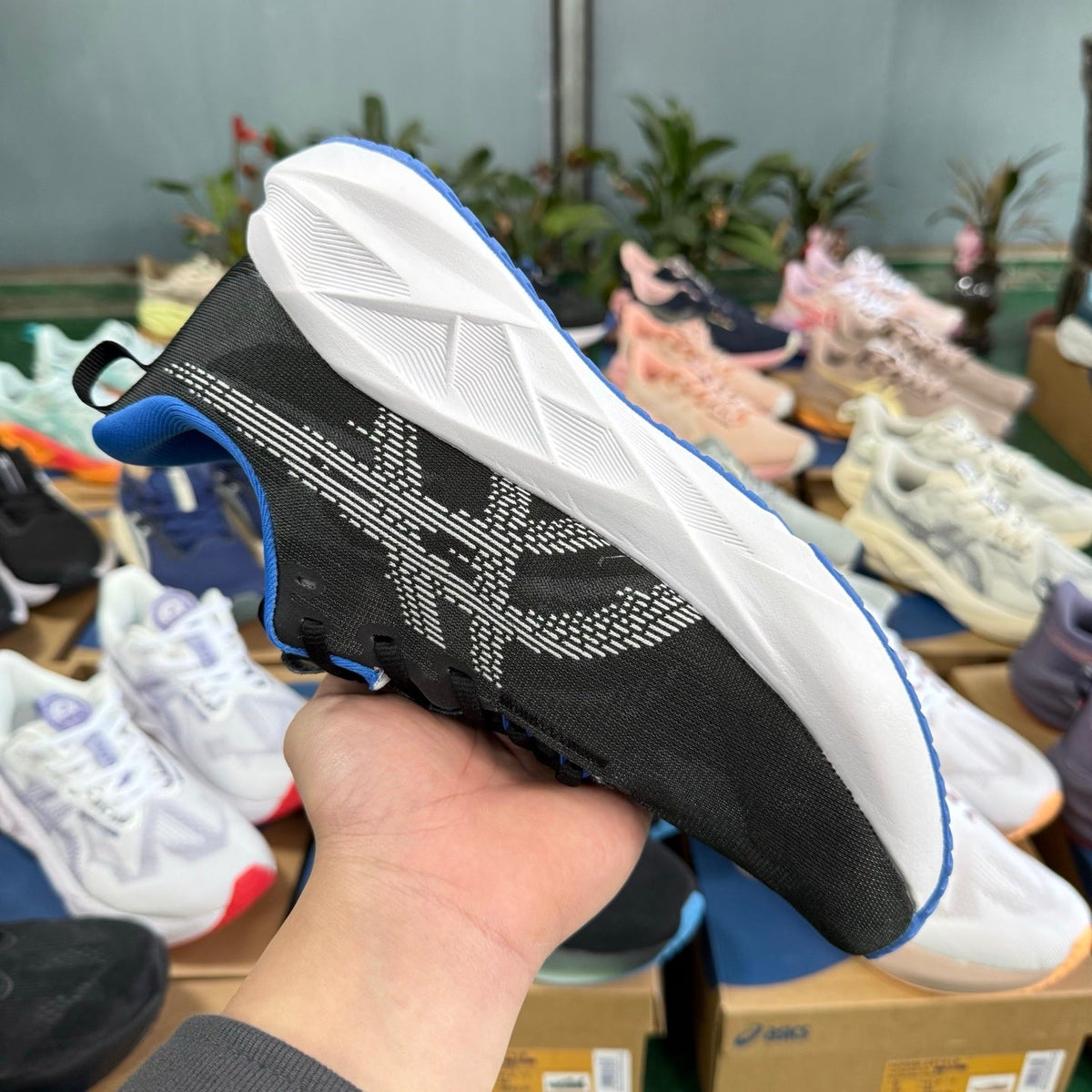 ASICS Novablast 5 LE Black Blue Running Shoes