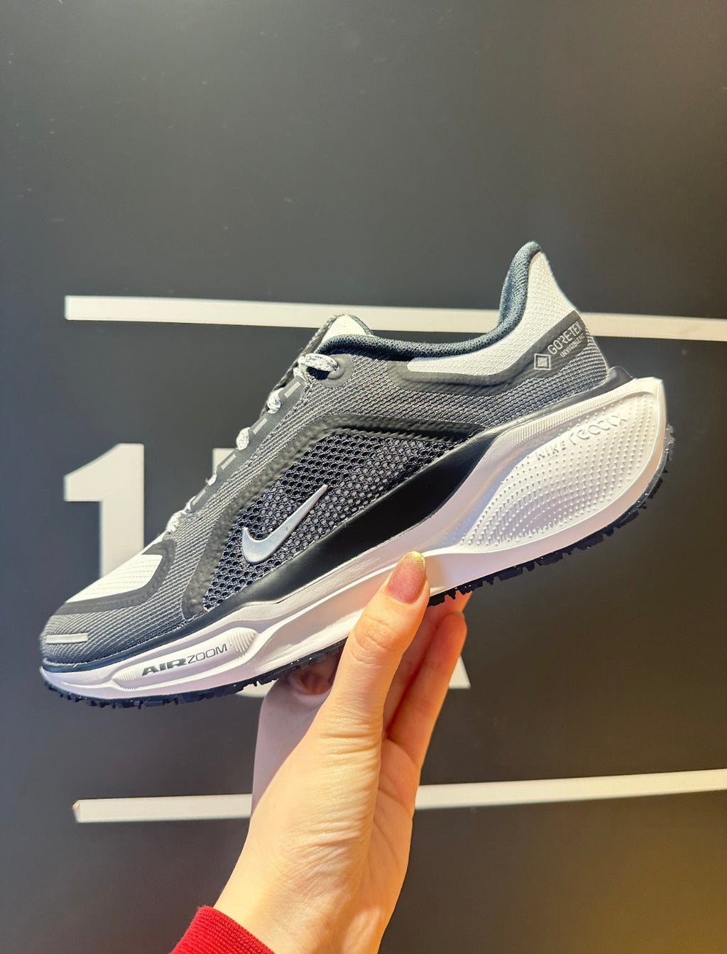 Nike Pegasus 41 GORE-TEX Running Shoes Black White FQ1356-002